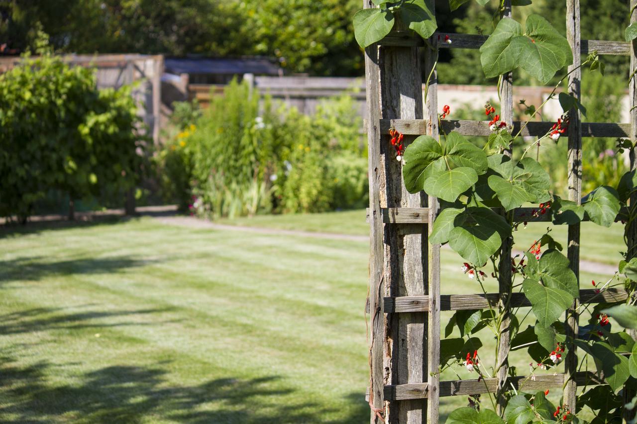 Magpies Lodge Slinfold エクステリア 写真